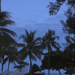 高中女学生的粉嫩小泬
