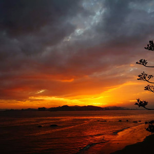 高中女学生的粉嫩小泬
